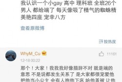 明星八卦爆料网站推荐 v1小说,v1小说背后的惊人真相