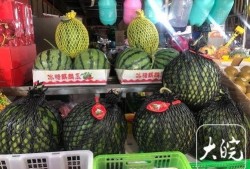 今日吃瓜 网红大瓜等你来开,网红大瓜等你来揭晓